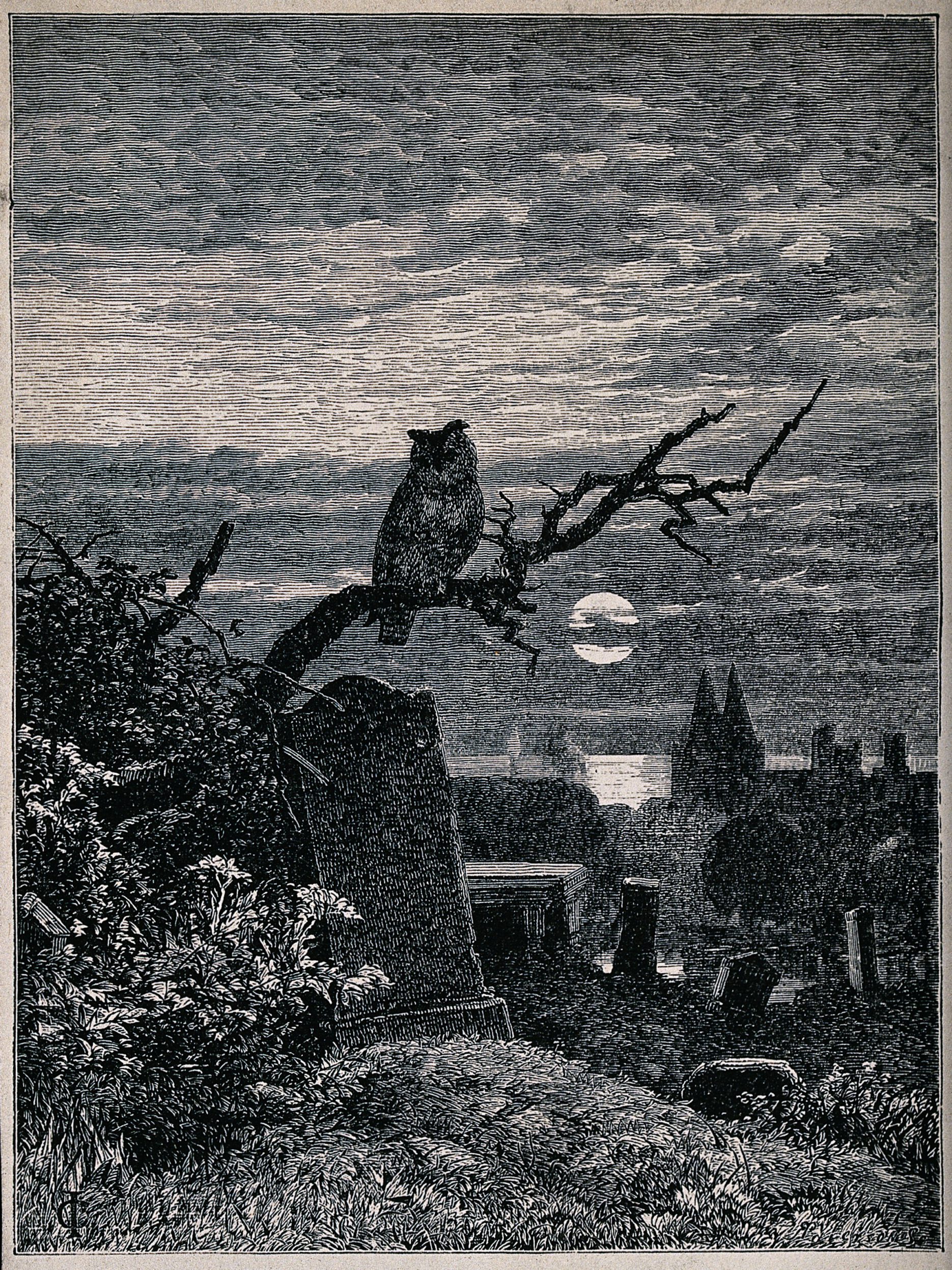 A graveyard at night with an owl perched on a branch. Reproduction of a wood engraving by Robert Paterson,