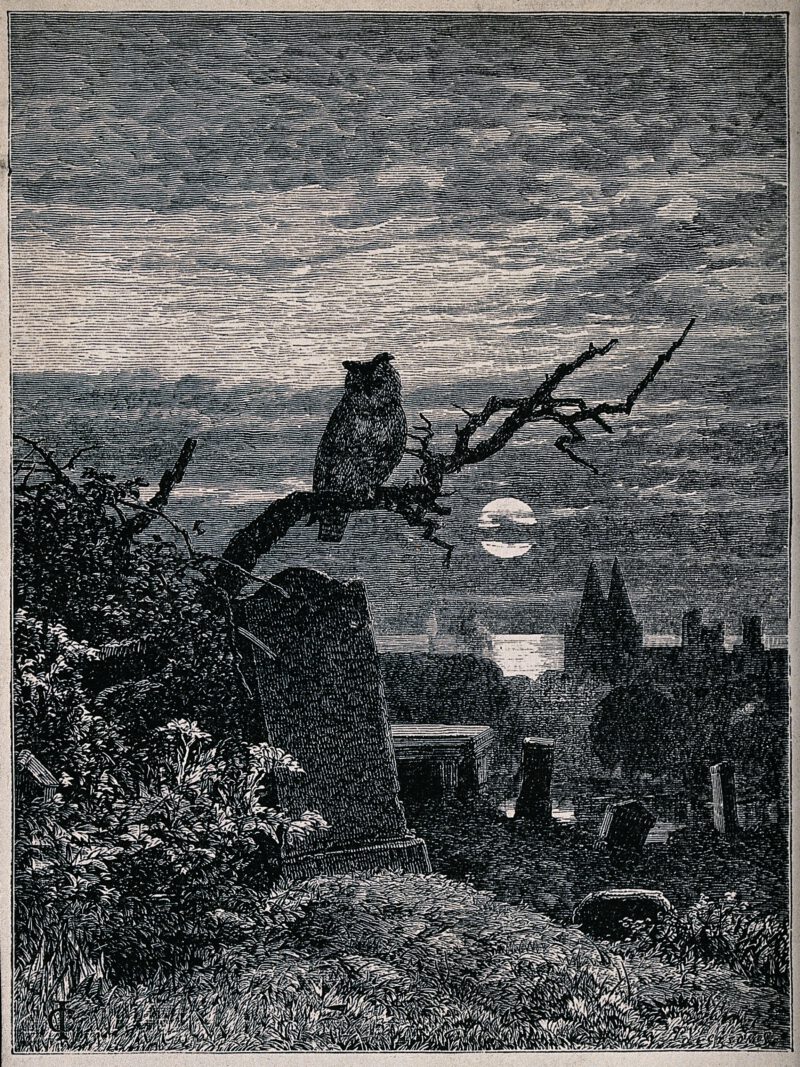 A graveyard at night with an owl perched on a branch. Reproduction of a wood engraving by Robert Paterson,